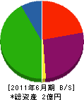 日本運動施設サービス 貸借対照表 2011年6月期