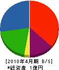 勝田組 貸借対照表 2010年4月期