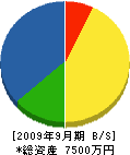 辰巳電工 貸借対照表 2009年9月期
