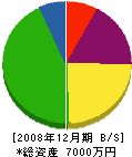 有和建設 貸借対照表 2008年12月期