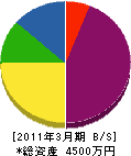 丸九電設 貸借対照表 2011年3月期