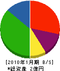 大川興建 貸借対照表 2010年1月期