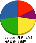 道東舗道 貸借対照表 2013年1月期
