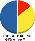北川緑化工業 貸借対照表 2010年6月期