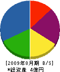 大島組 貸借対照表 2009年8月期