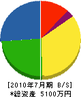 畳流通センター田中商店 貸借対照表 2010年7月期