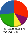 日本スクリーン 貸借対照表 2012年10月期