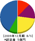 牟田建設 貸借対照表 2009年12月期