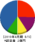 大分日本無線サービス 貸借対照表 2010年4月期
