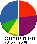 東亜電設 貸借対照表 2012年12月期