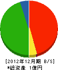 宜野湾建設 貸借対照表 2012年12月期
