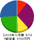 若井組 貸借対照表 2010年12月期