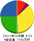 山陽電設 貸借対照表 2011年10月期