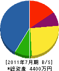 田丸工業所 貸借対照表 2011年7月期