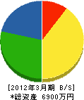 東日本環境保全工業 貸借対照表 2012年3月期