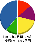 松広造園 貸借対照表 2012年6月期
