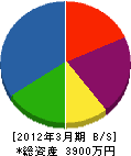 渡辺建設工業 貸借対照表 2012年3月期