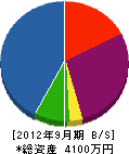 中島電工 貸借対照表 2012年9月期