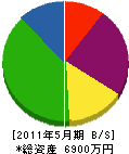 佐藤電機 貸借対照表 2011年5月期