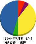 川村建設 貸借対照表 2009年5月期