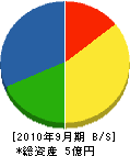 鈴木土建 貸借対照表 2010年9月期