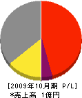 ミヤケン 損益計算書 2009年10月期