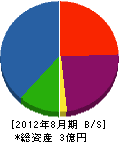 渡辺アルミ工業 貸借対照表 2012年8月期