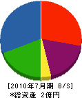 井田組 貸借対照表 2010年7月期