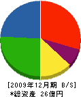 藤本建設 貸借対照表 2009年12月期