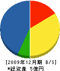 和井田電業 貸借対照表 2009年12月期