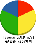 石津ふすま店 貸借対照表 2008年12月期