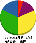 サワダ 貸借対照表 2010年4月期