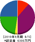 野田建設 貸借対照表 2010年9月期 野田建設 貸借対照表 2010年9月期
