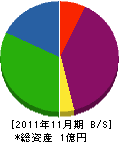 寺山組 貸借対照表 2011年11月期