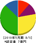 矢吹海運 貸借対照表 2010年5月期