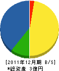 西沢産業 貸借対照表 2011年12月期
