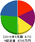 鶴岡殖産 貸借対照表 2010年9月期