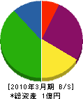 昭和石材工業 貸借対照表 2010年3月期