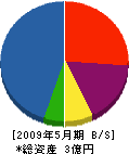 宮脇工業 貸借対照表 2009年5月期