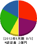 和田山設備 貸借対照表 2012年6月期
