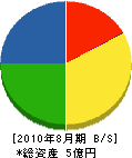 田中組 貸借対照表 2010年8月期