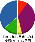橋口石彫工業 貸借対照表 2012年12月期