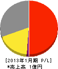 上田住宅設備 損益計算書 2013年1月期