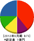 勇輝興業 貸借対照表 2012年6月期