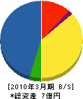 日本グリーンリサイクル 貸借対照表 2010年3月期