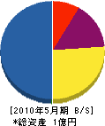辰雄組 貸借対照表 2010年5月期