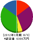 大山電気 貸借対照表 2012年3月期