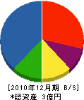 石戸谷建設 貸借対照表 2010年12月期