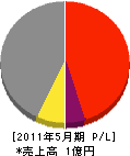 上野建装 損益計算書 2011年5月期