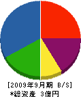 鹿島花壇土木 貸借対照表 2009年9月期